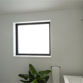 Trending Image APL-N 0059
