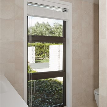 Trending Image APL1  204.jpg