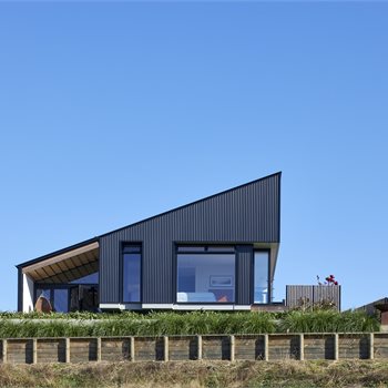 Trending Image HERE.Paua.Tamahere.006