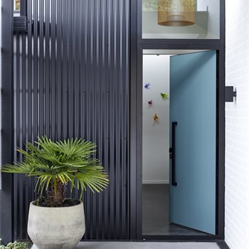 Trending Image HERE.Paua.Tamahere.063