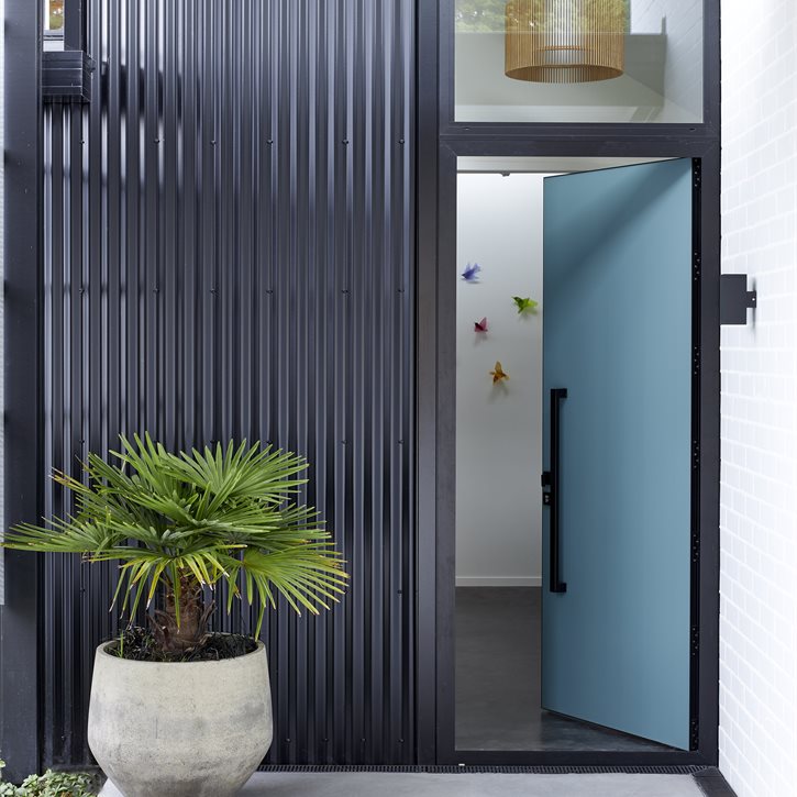 Trending Image HERE.Paua.Tamahere.063